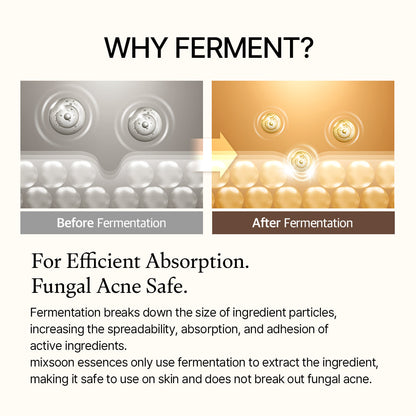 Soonbloom Bean Ferment Essence